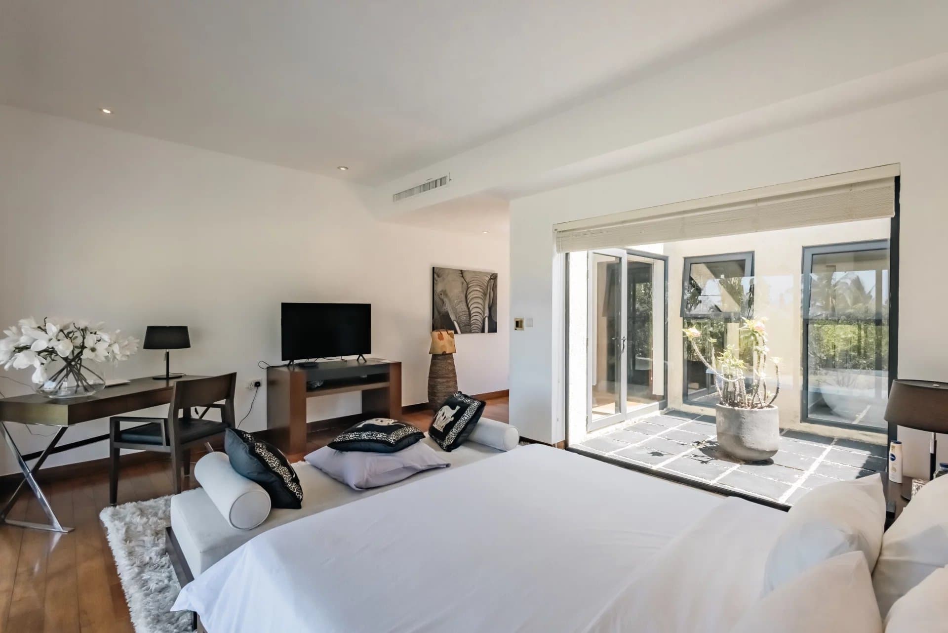 Property image n°11