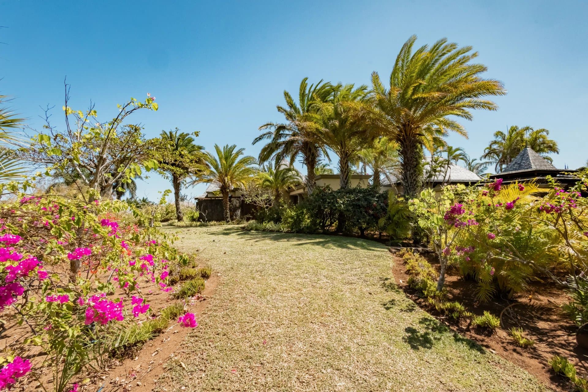 Property image n°28