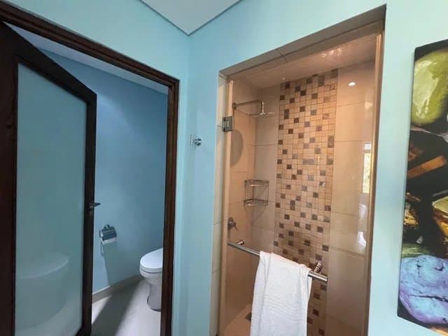 Property image n°7