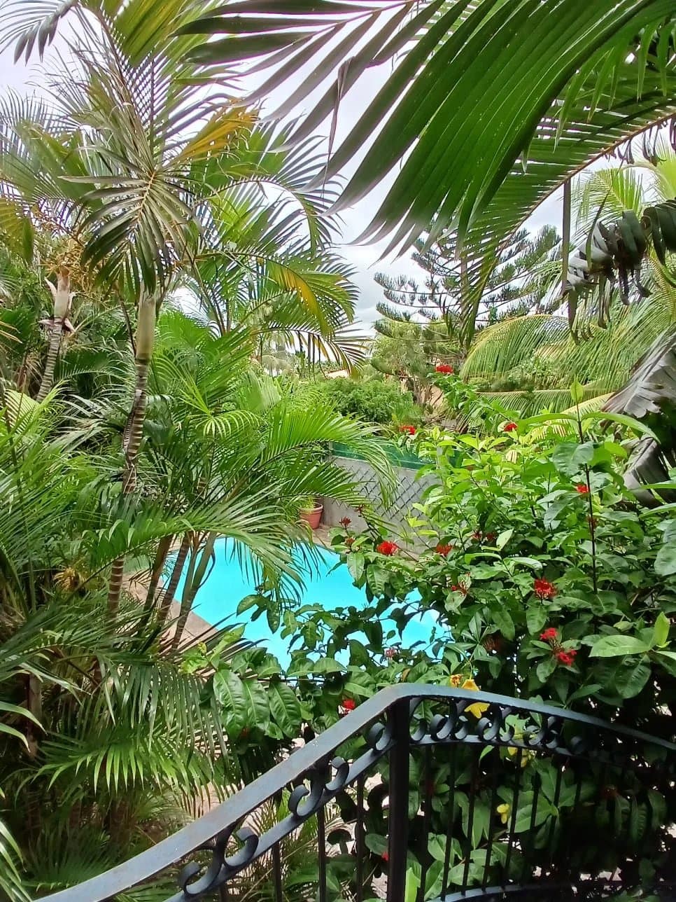 Property image n°10