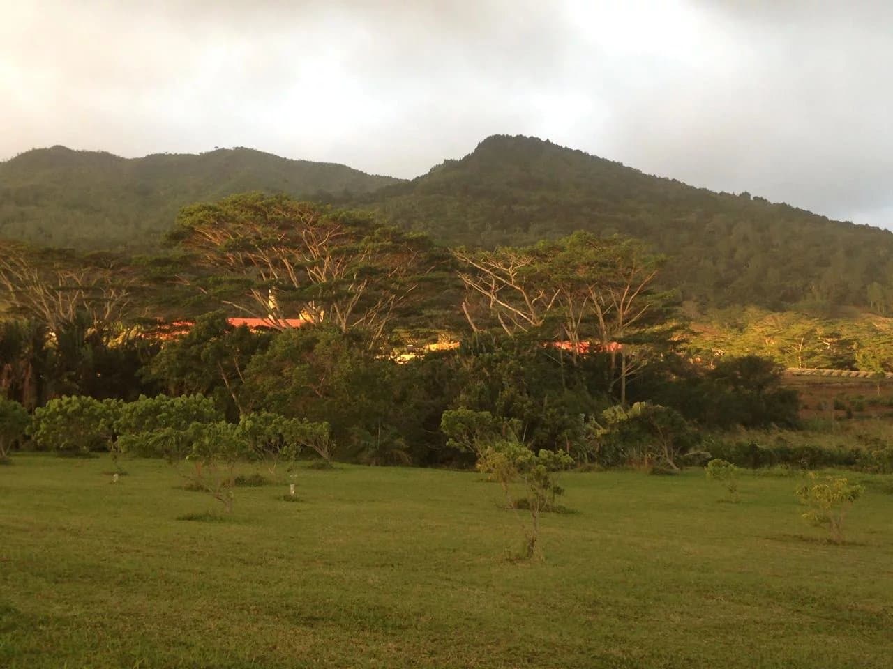 Property image n°0