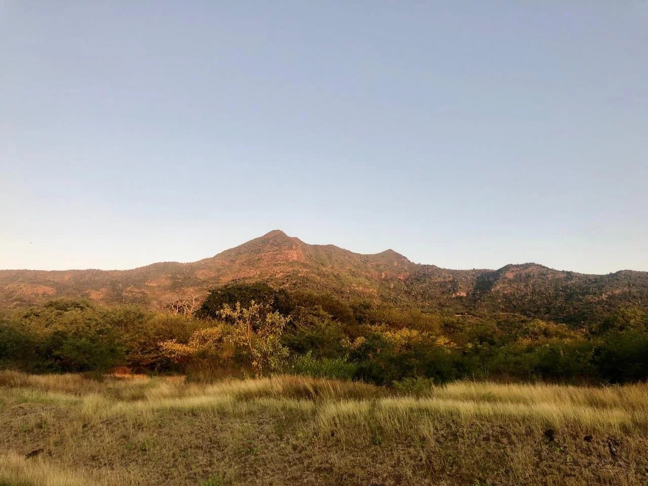 Property image n°0