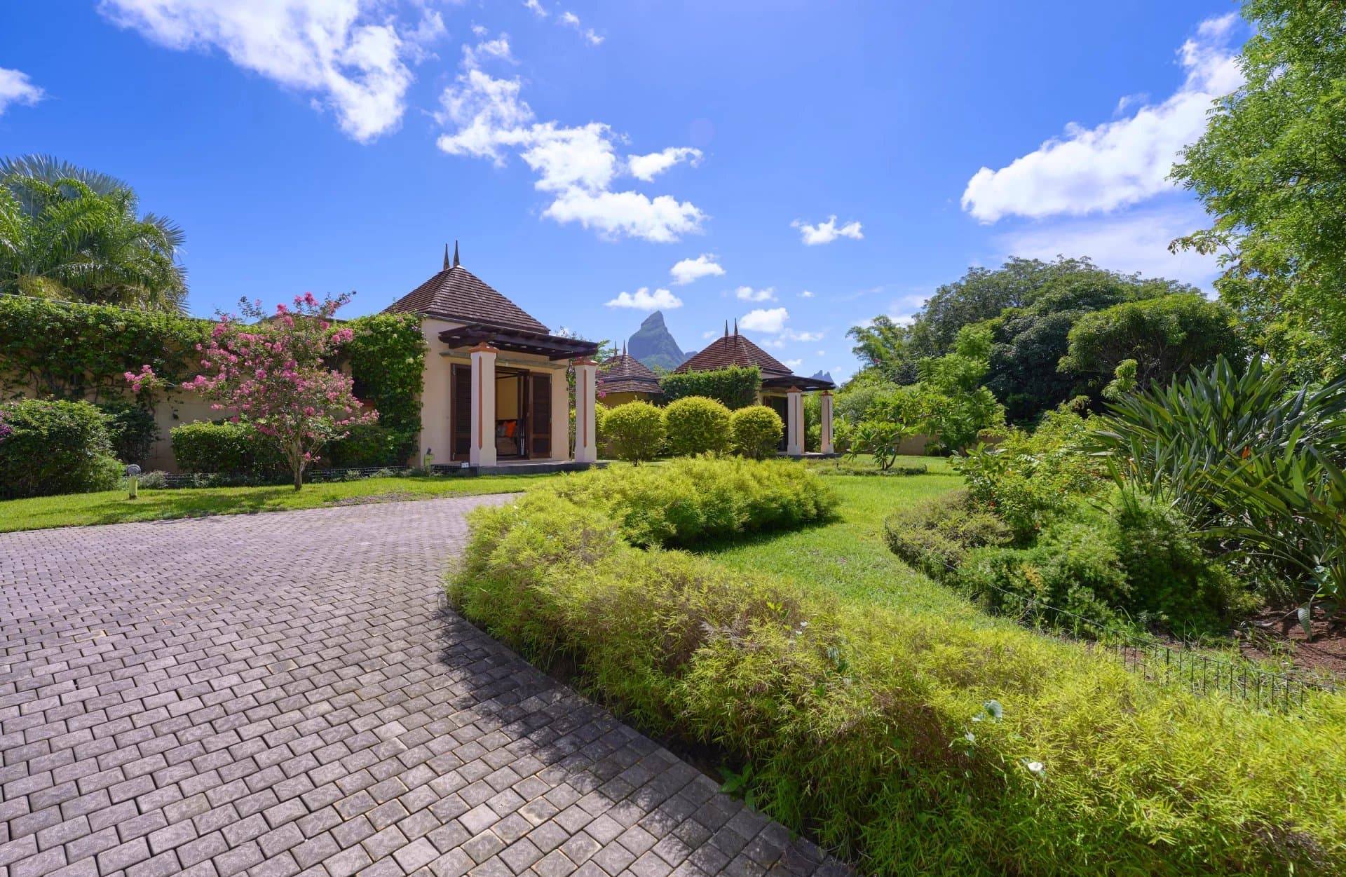 Property image n°22