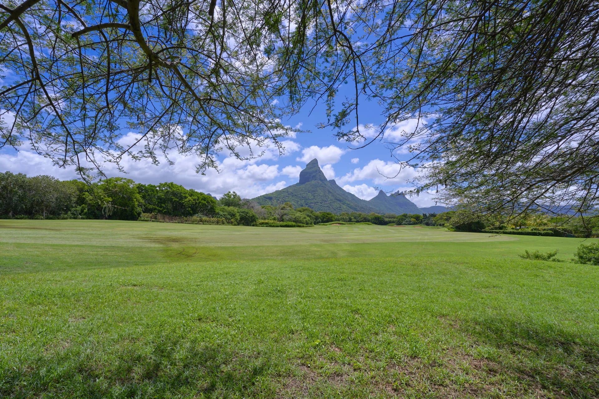 Property image n°25