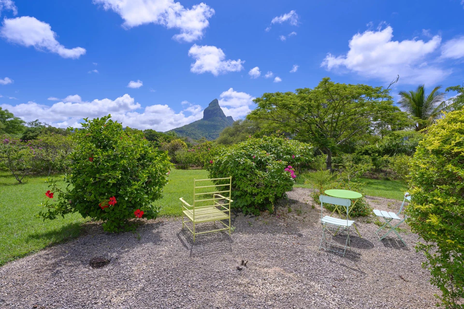 Property image n°5