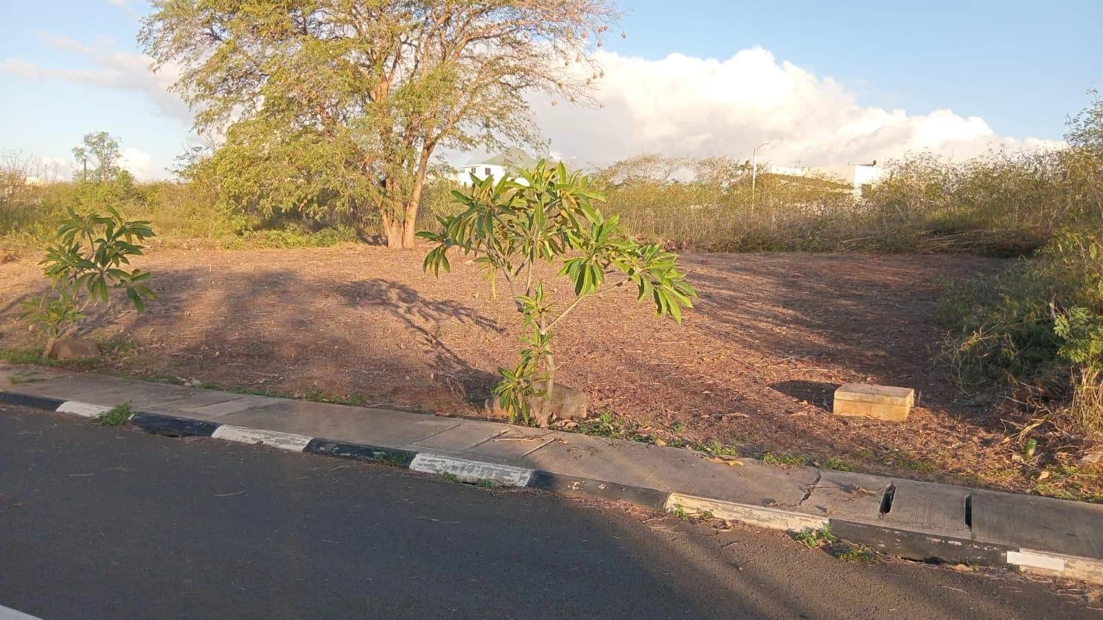 Property image n°1