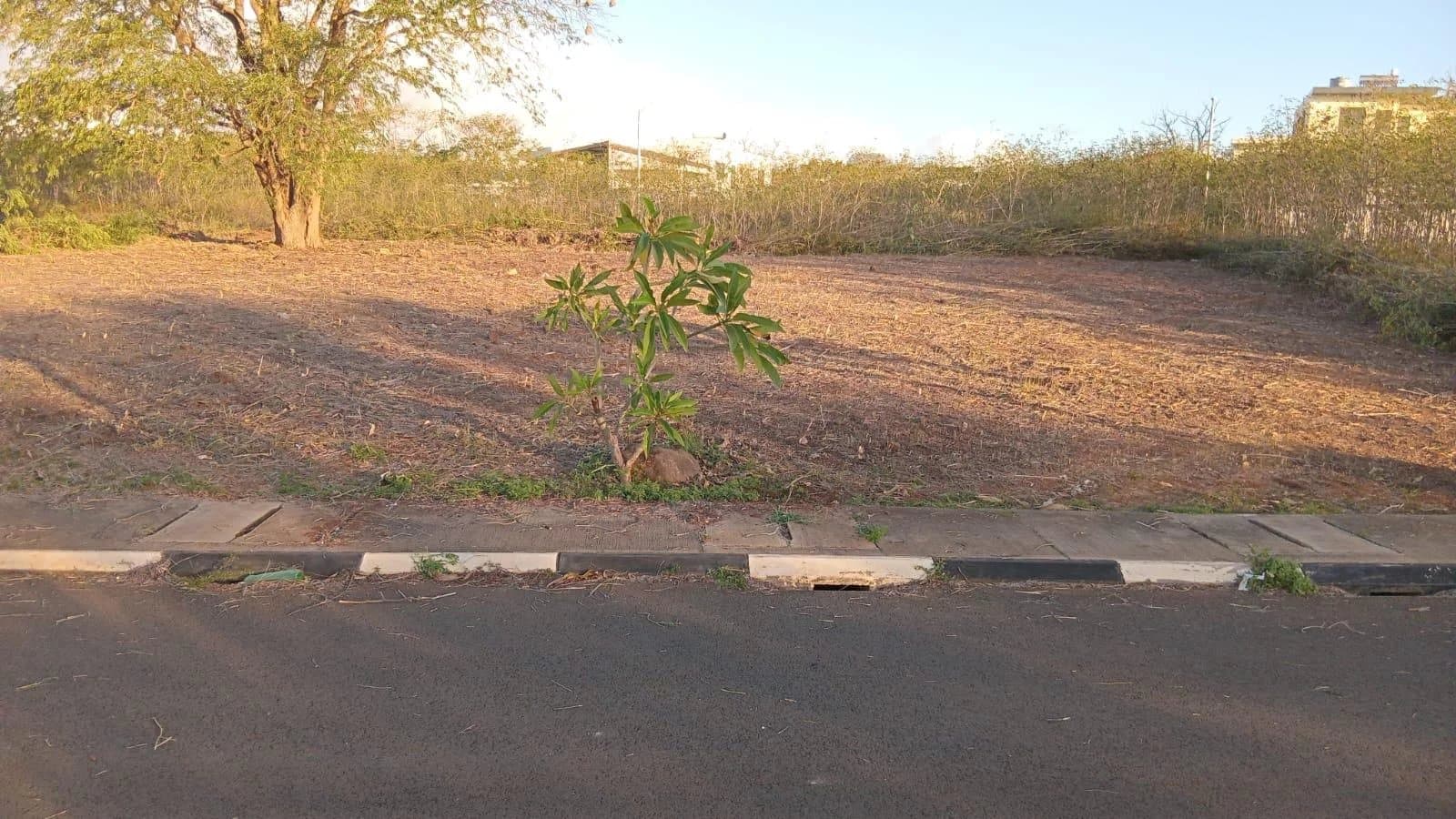 Property image n°2