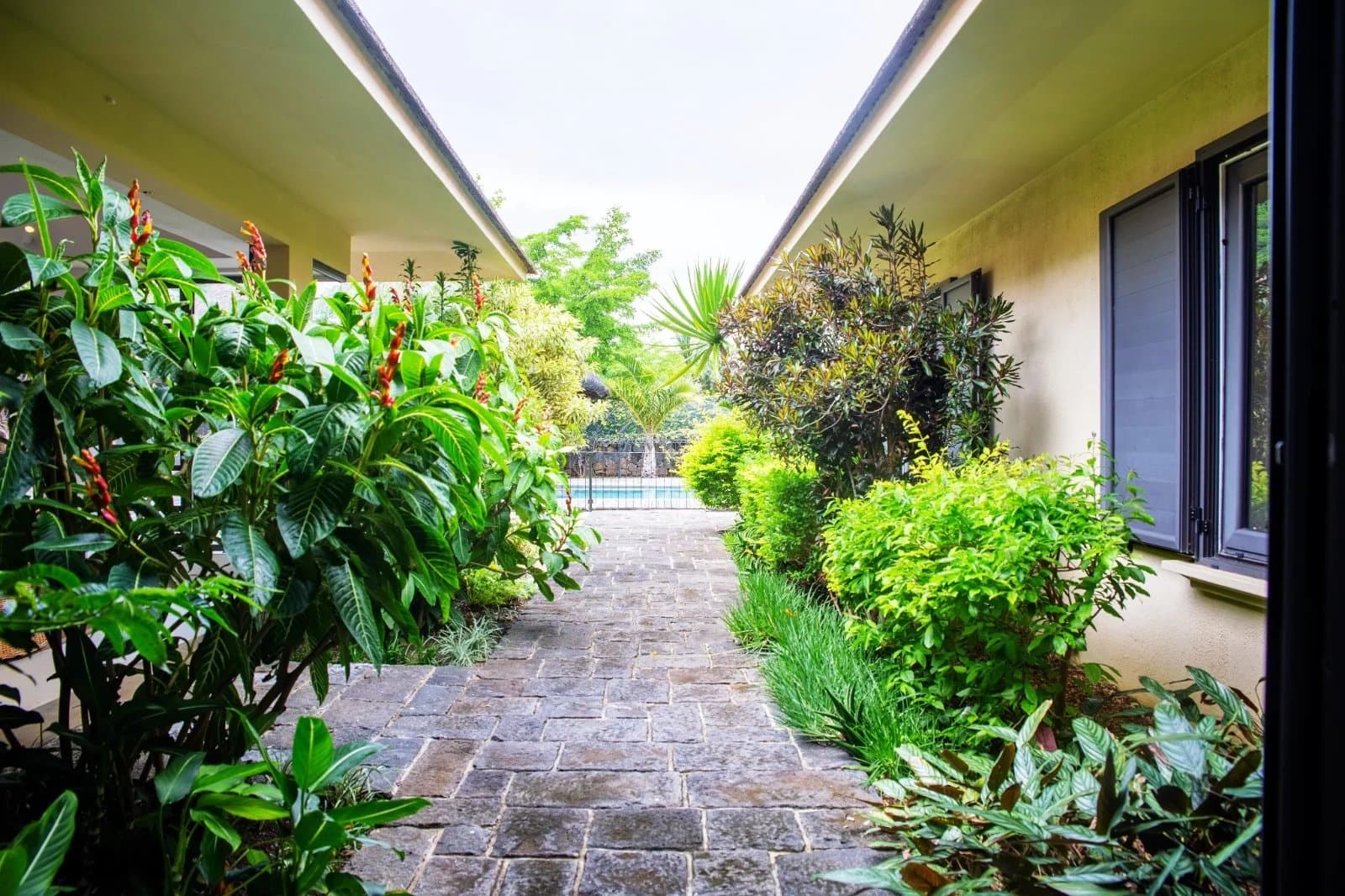Property image n°3