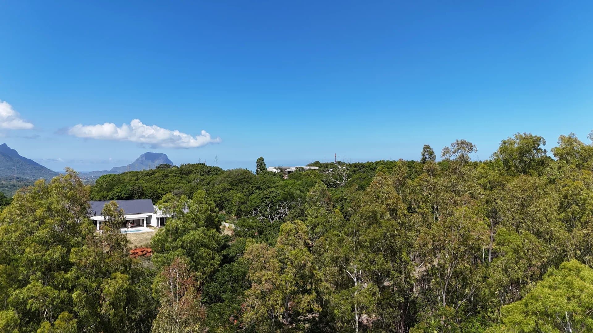 Property image n°10