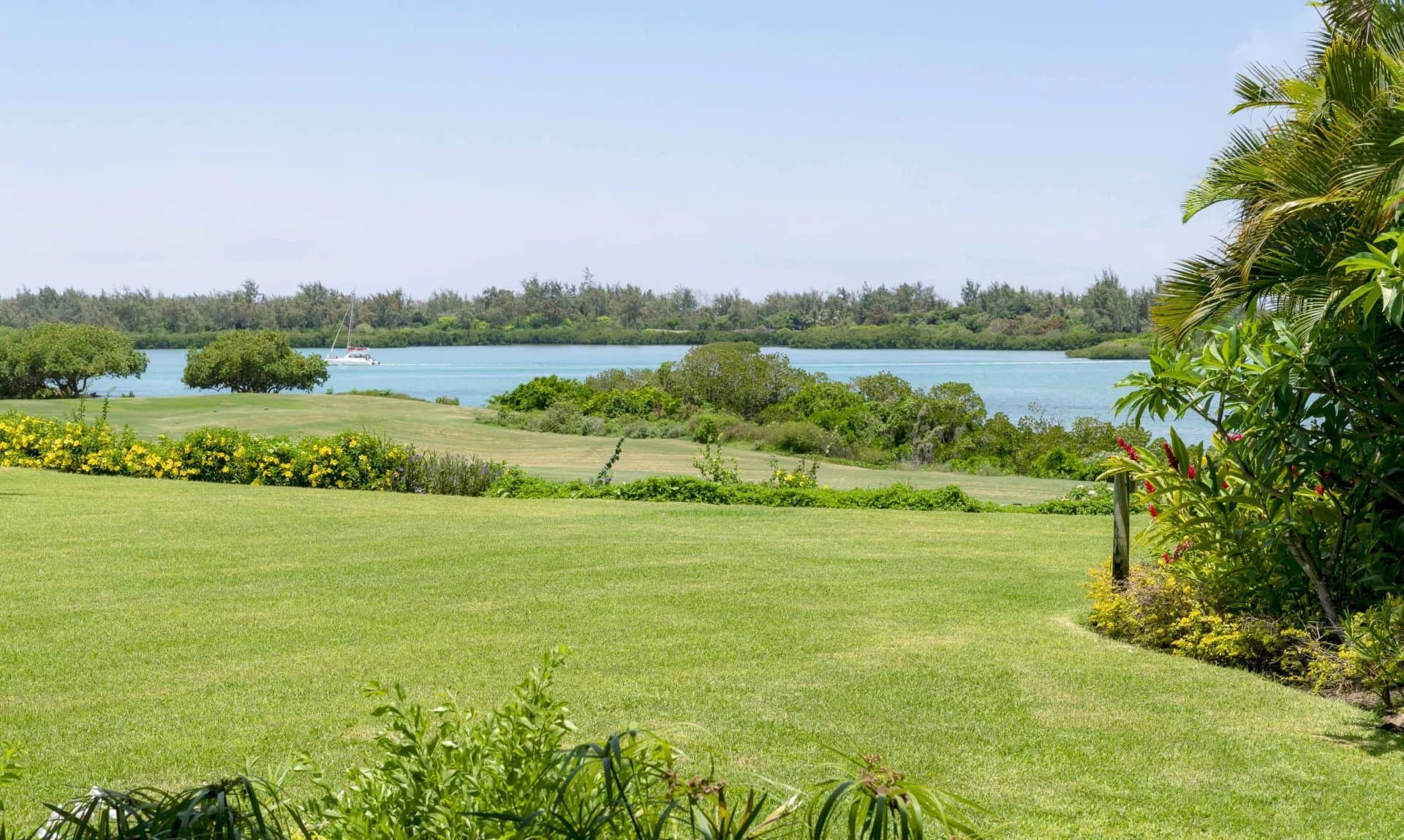 Property image n°9