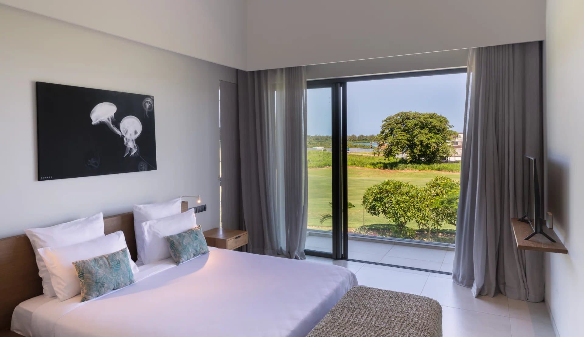 Property image n°10