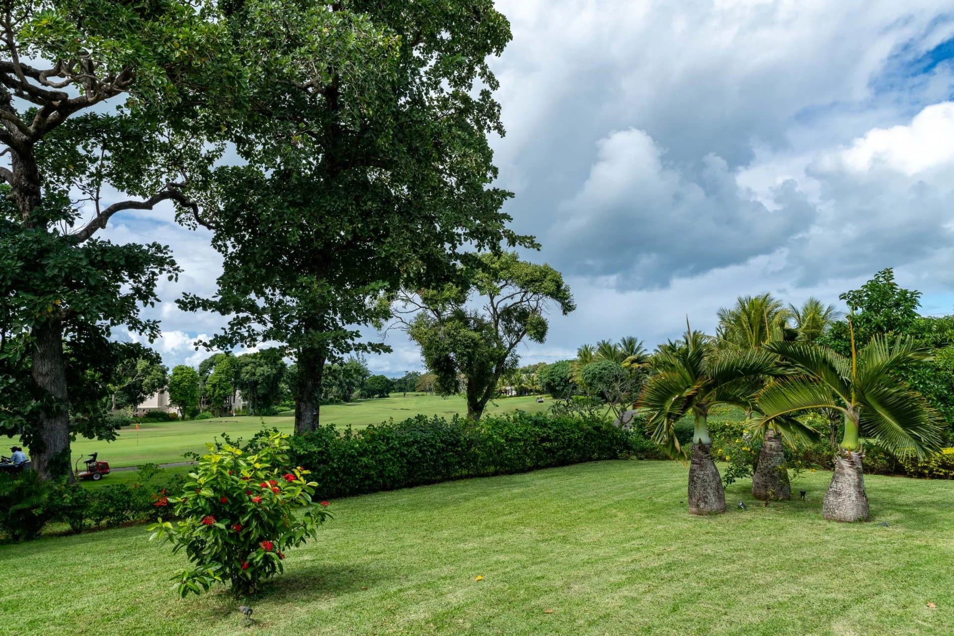 Property image n°21
