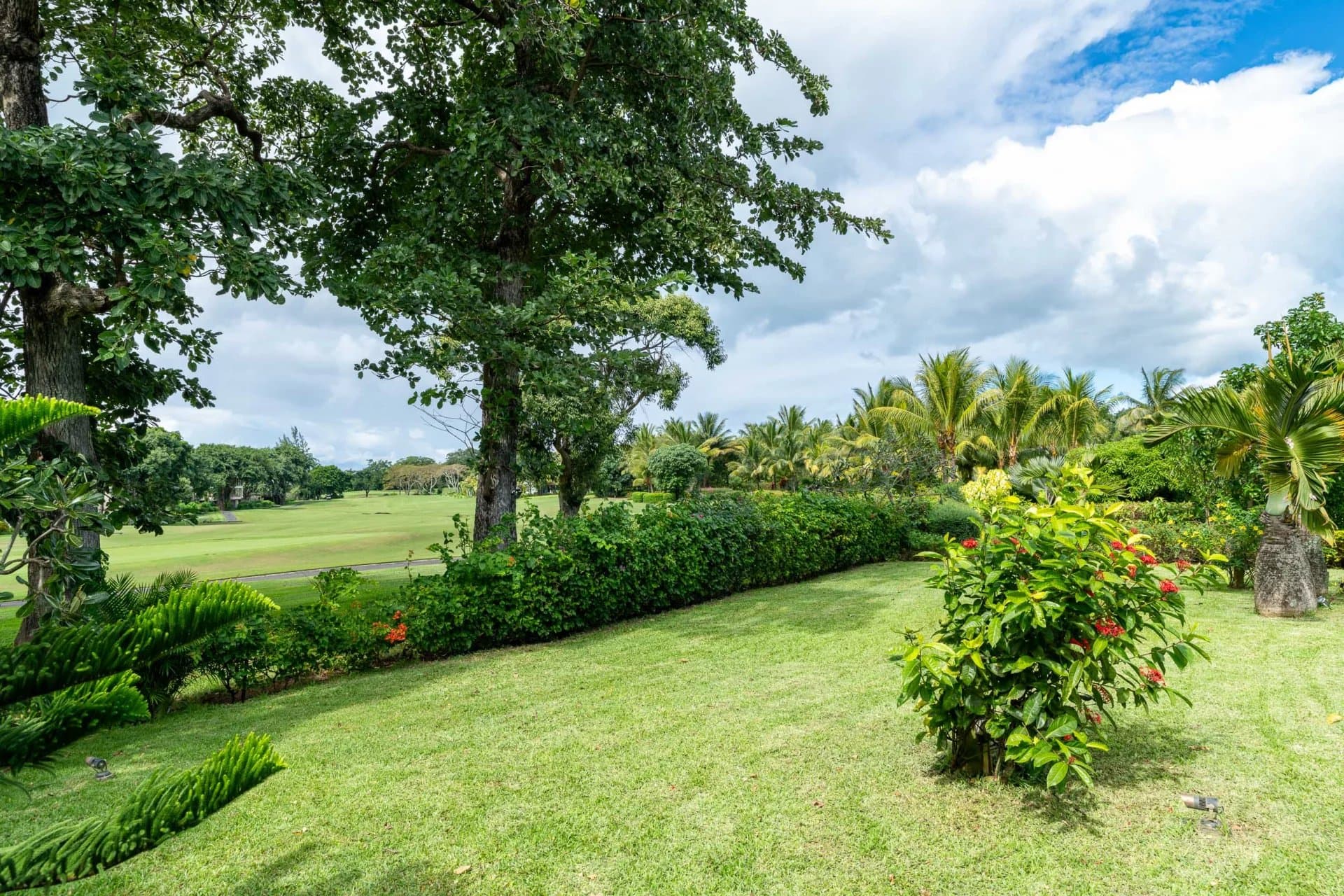 Property image n°23