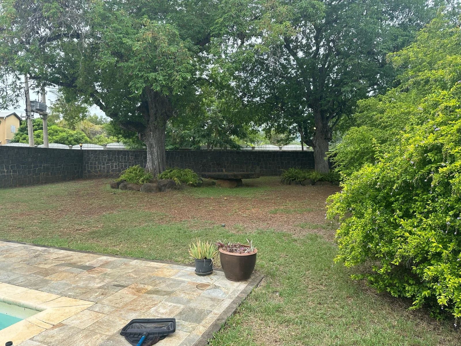 Property image n°3