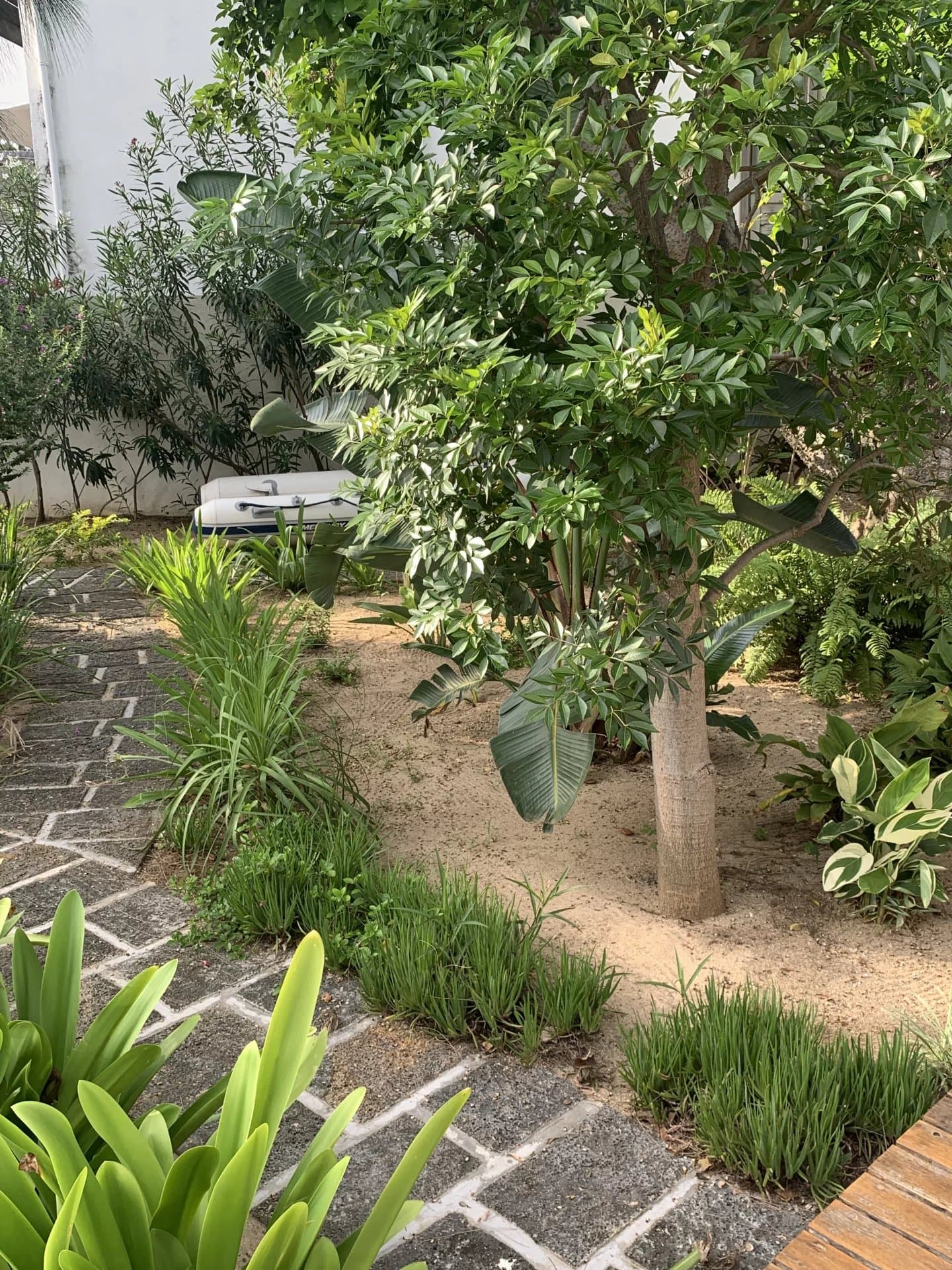 Property image n°13