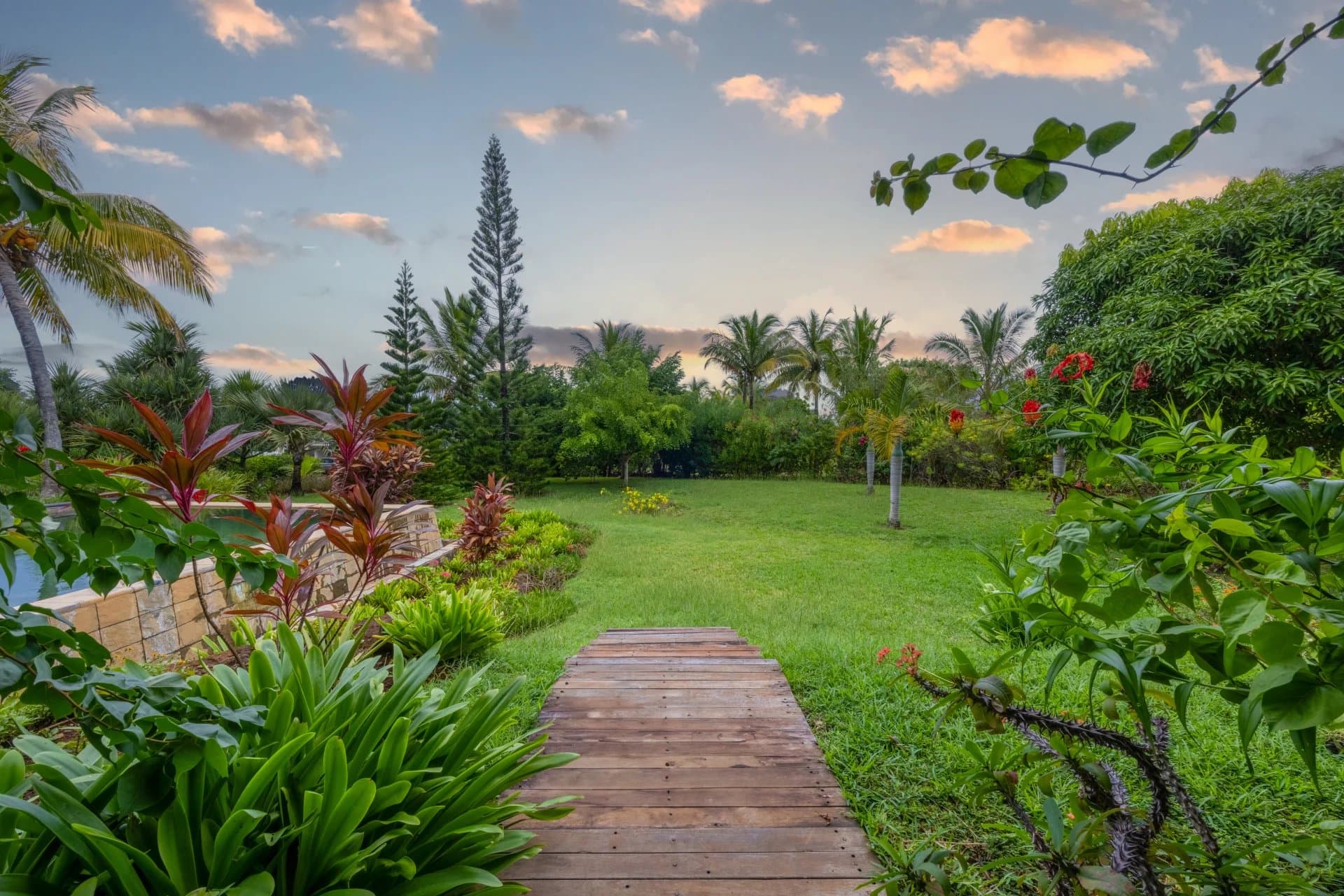 Property image n°8