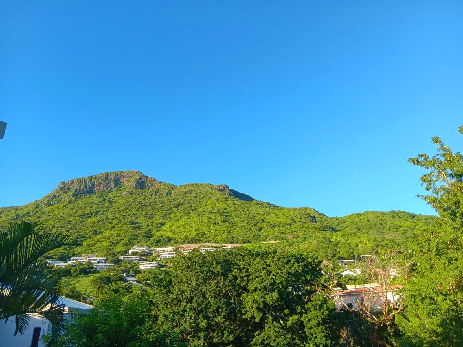Property image n°2