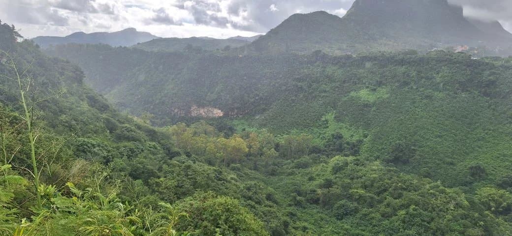 Property image n°14