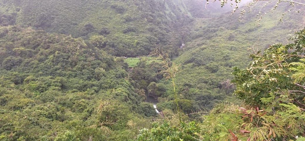 Property image n°15