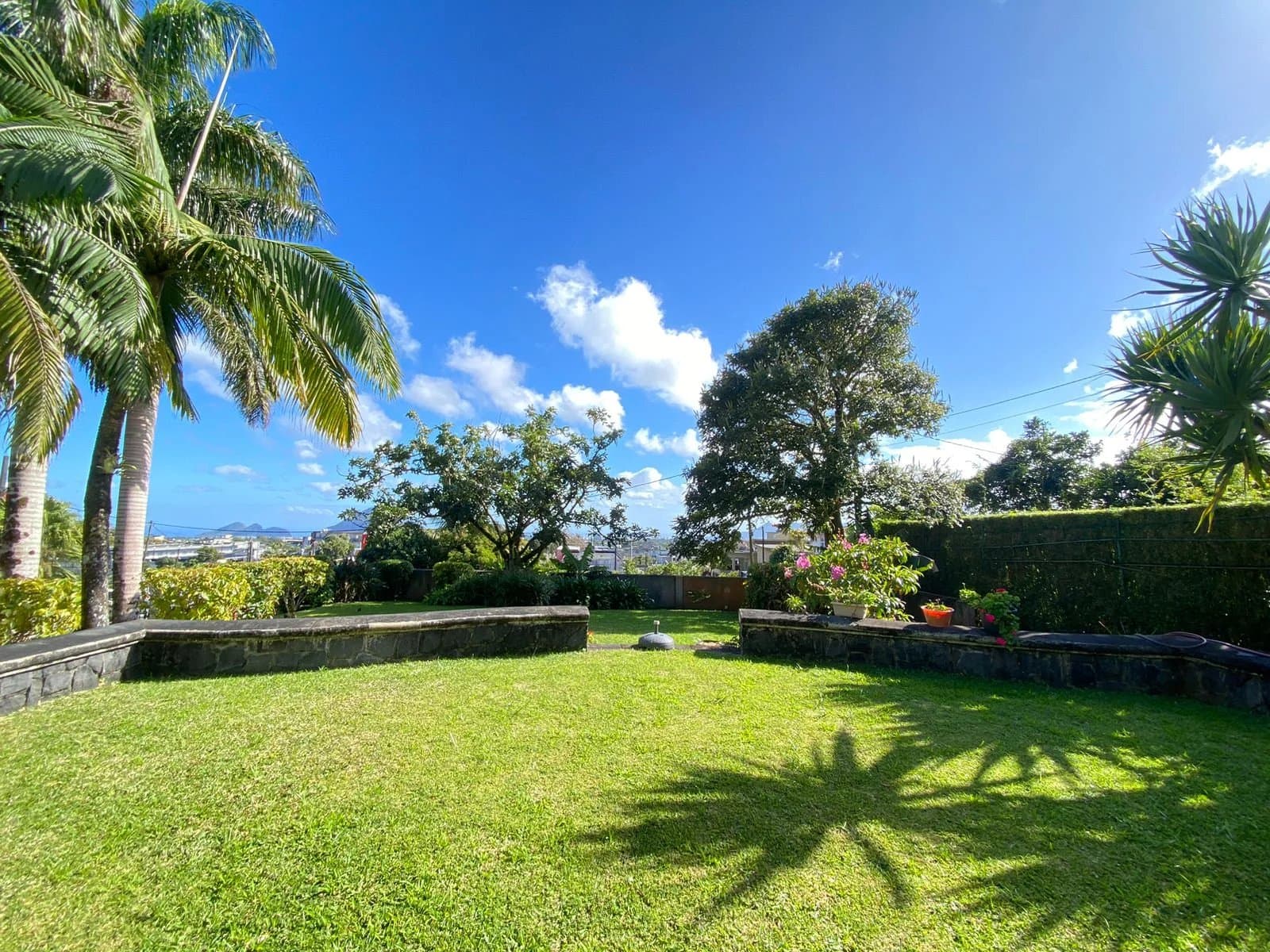 Property image n°1