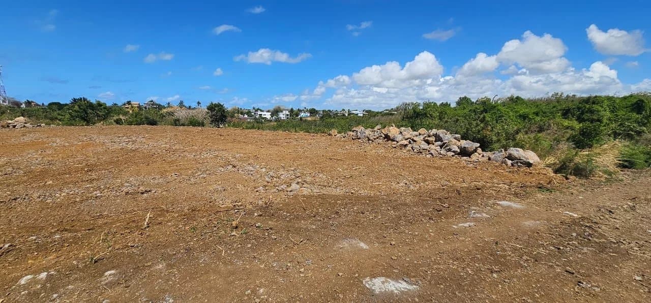 Property image n°0