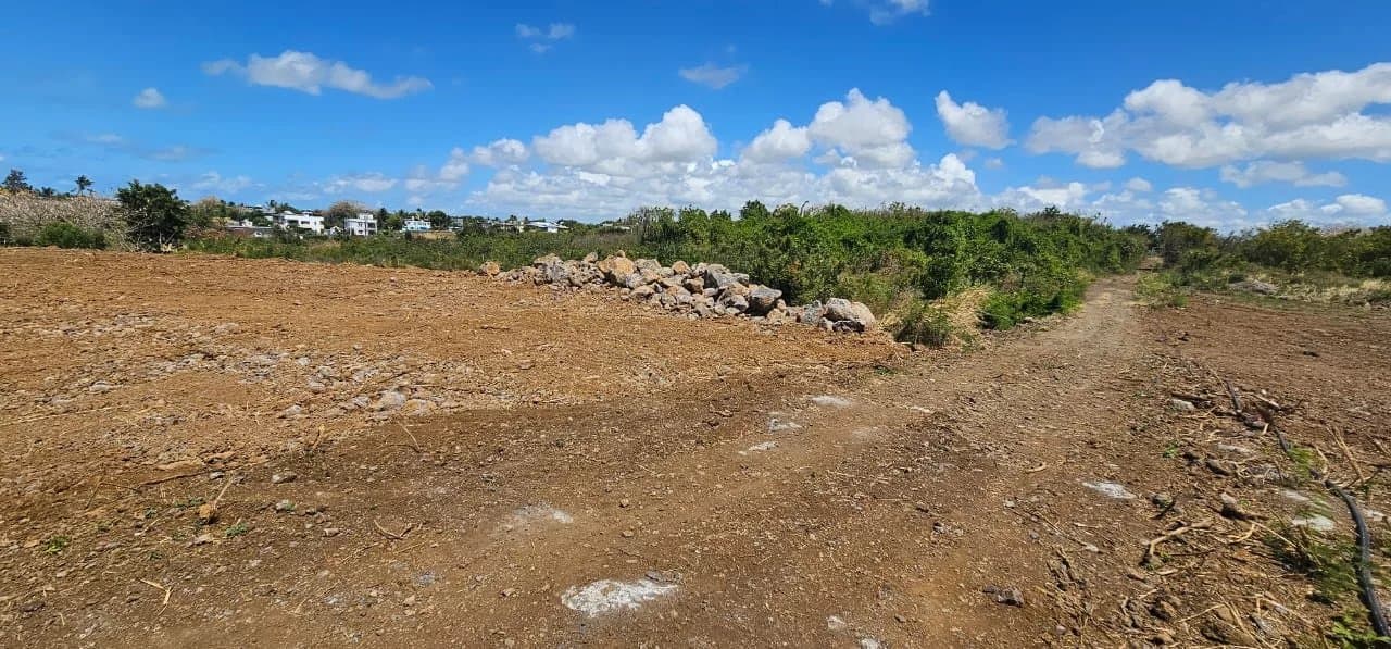 Property image n°1