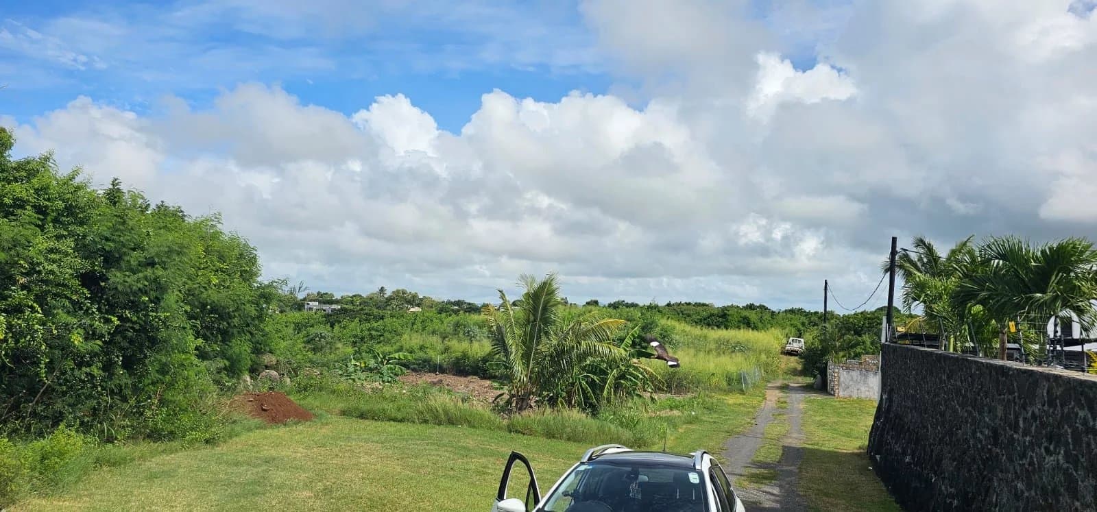 Property image n°2