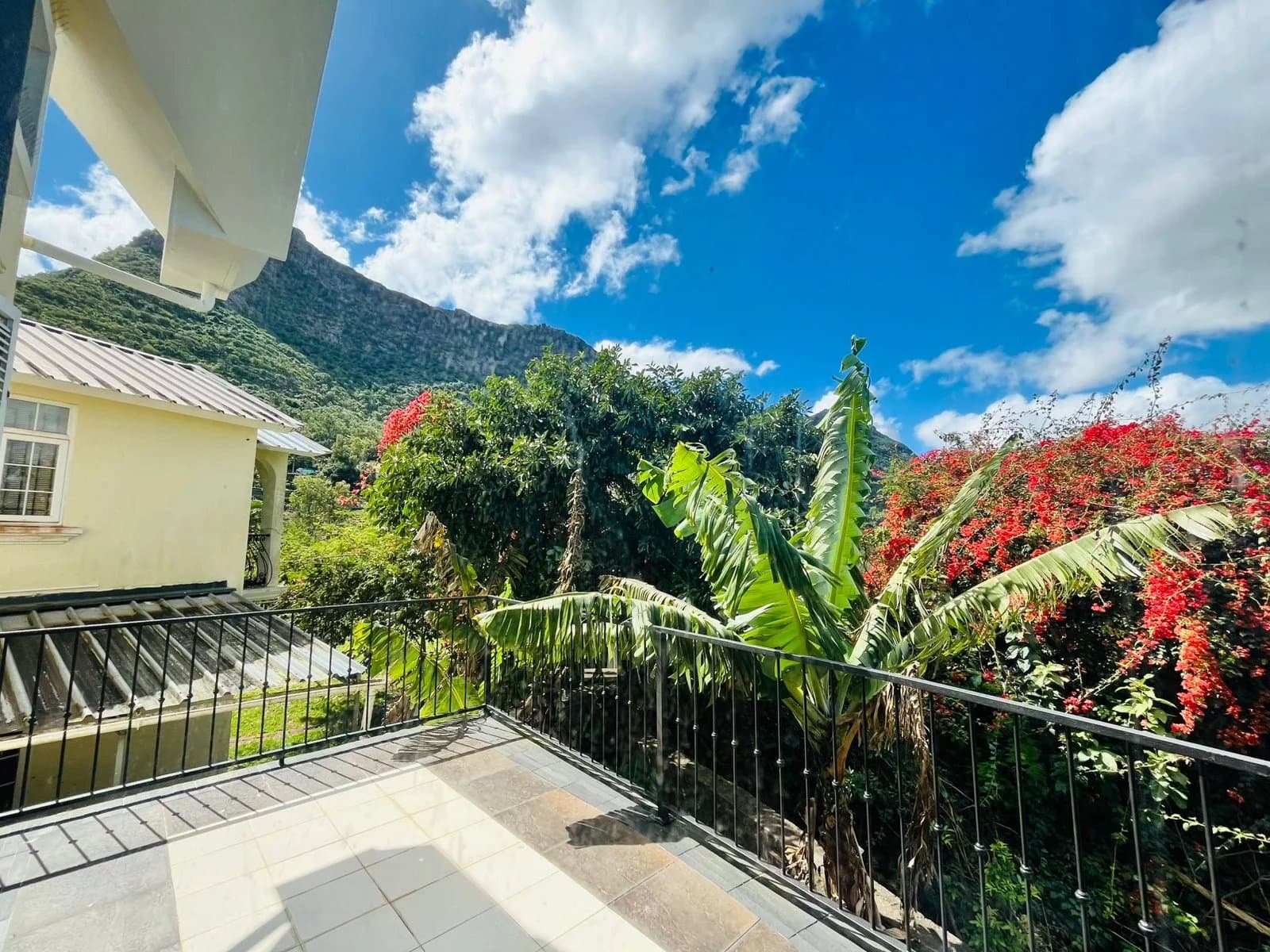 Property image n°14