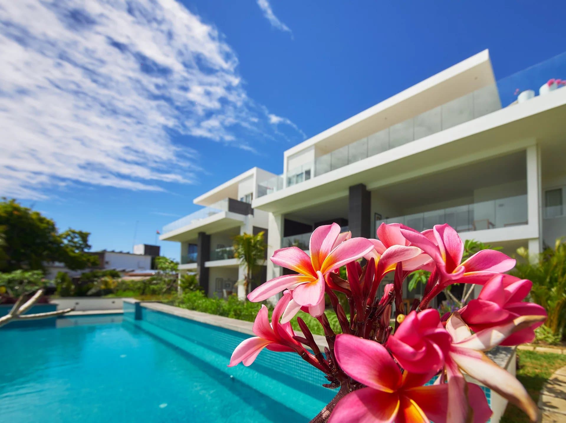 Property image n°5