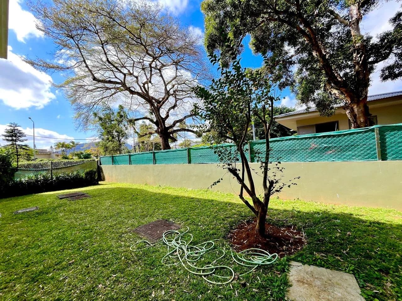 Property image n°3