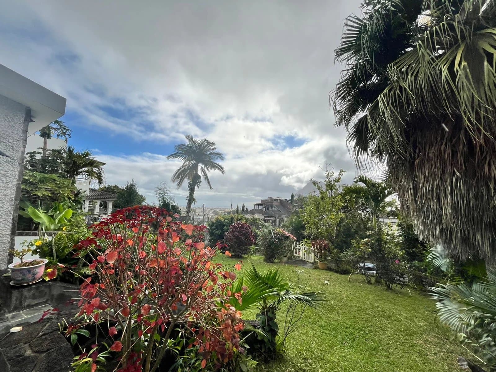 Property image n°5