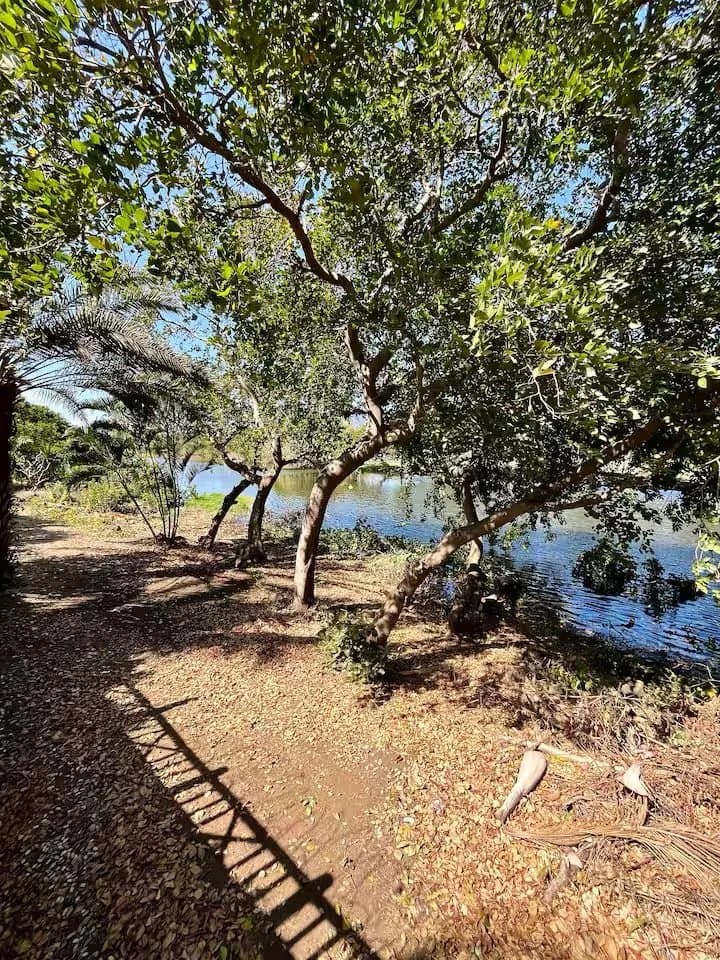 Property image n°16