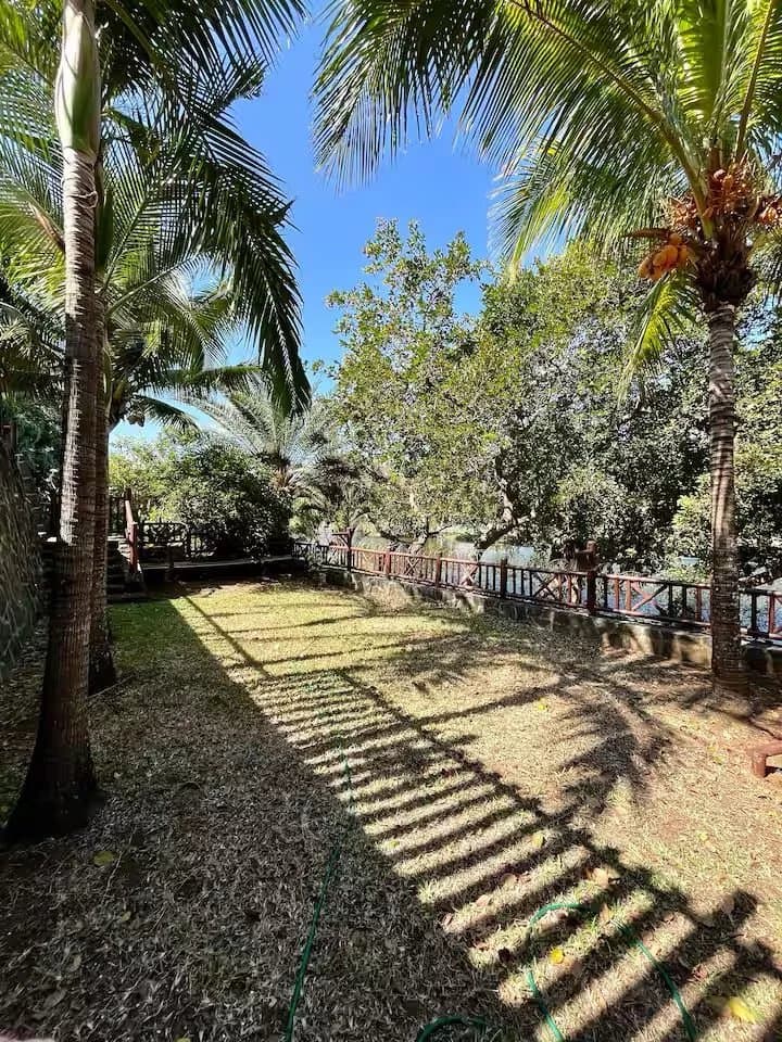 Property image n°20