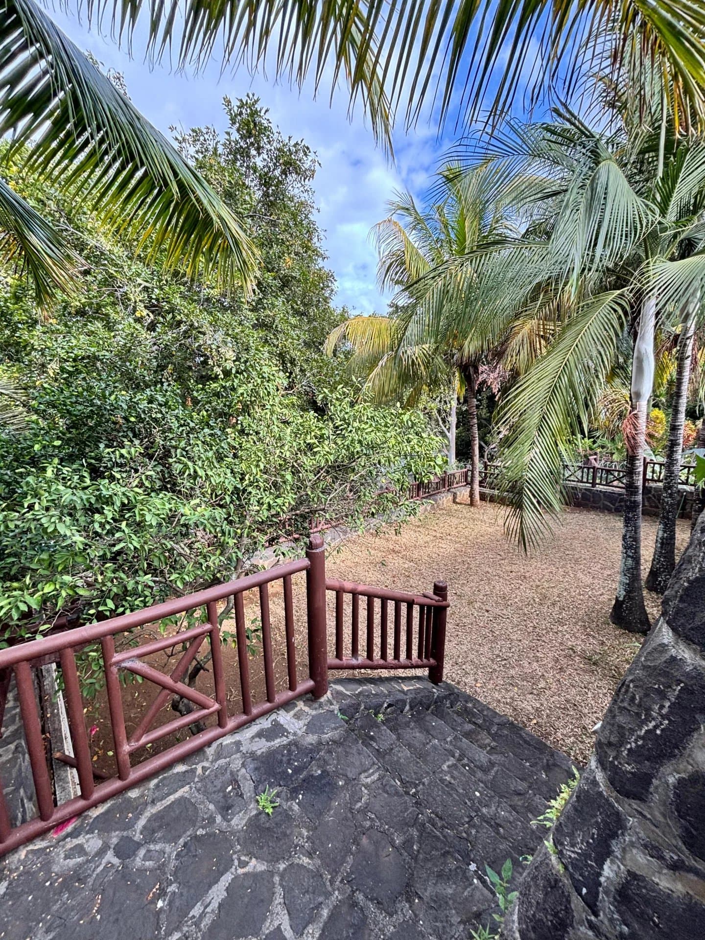 Property image n°22