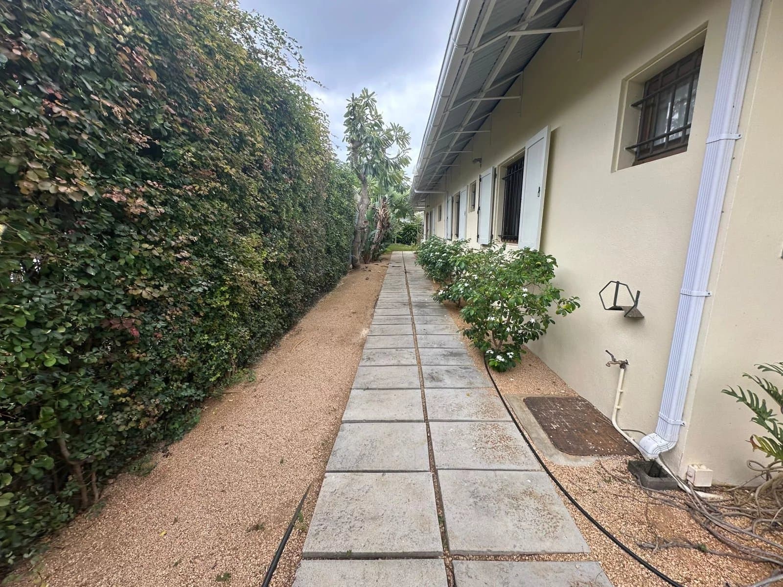 Property image n°10
