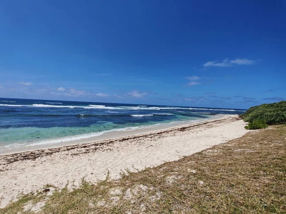 Property image n°0