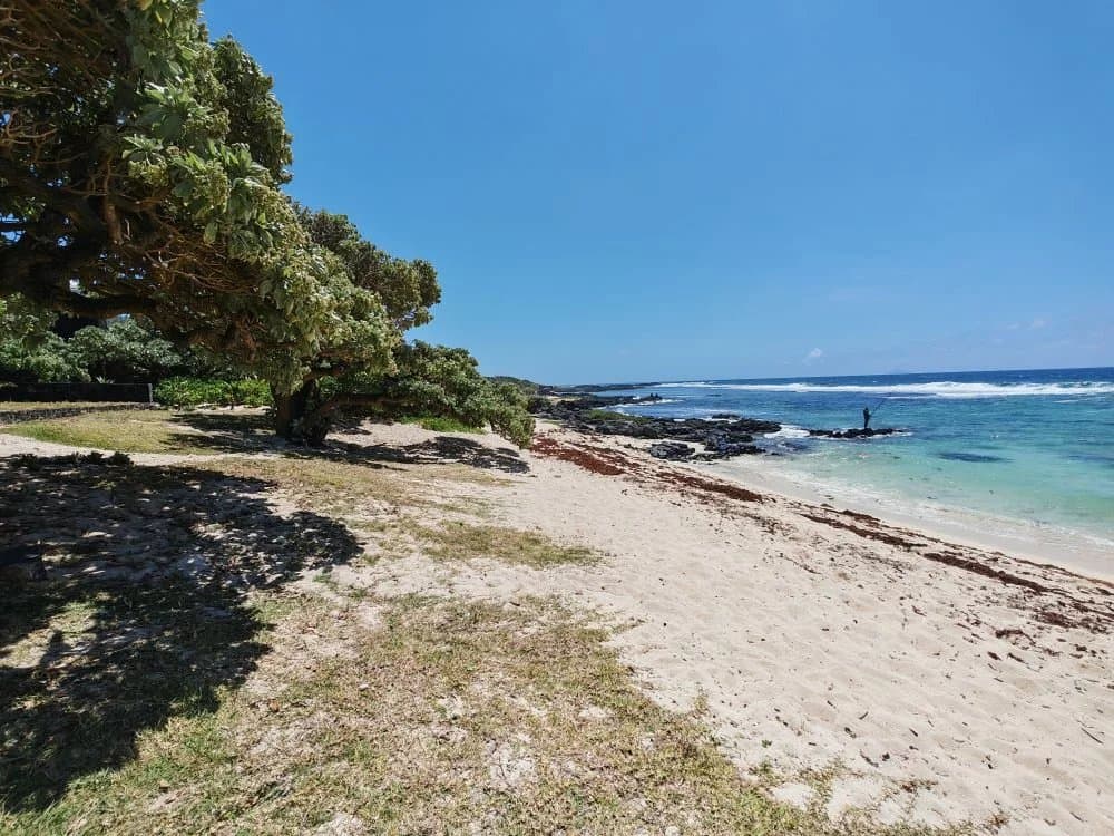 Property image n°17