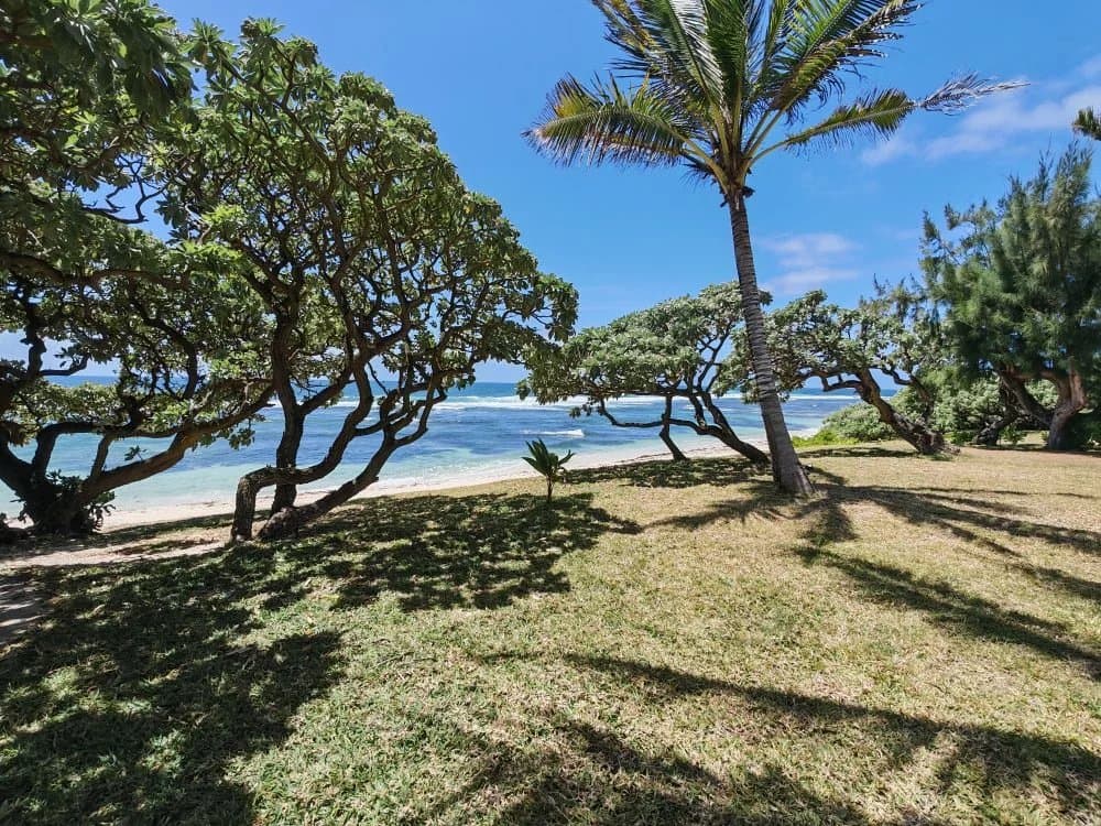 Property image n°18