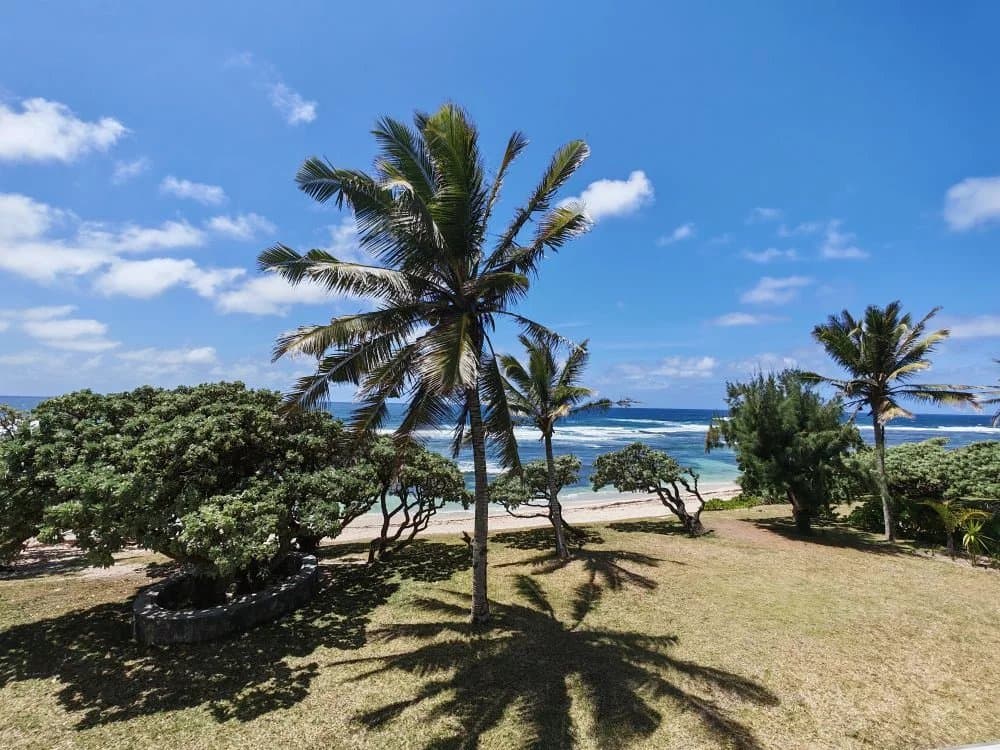 Property image n°19