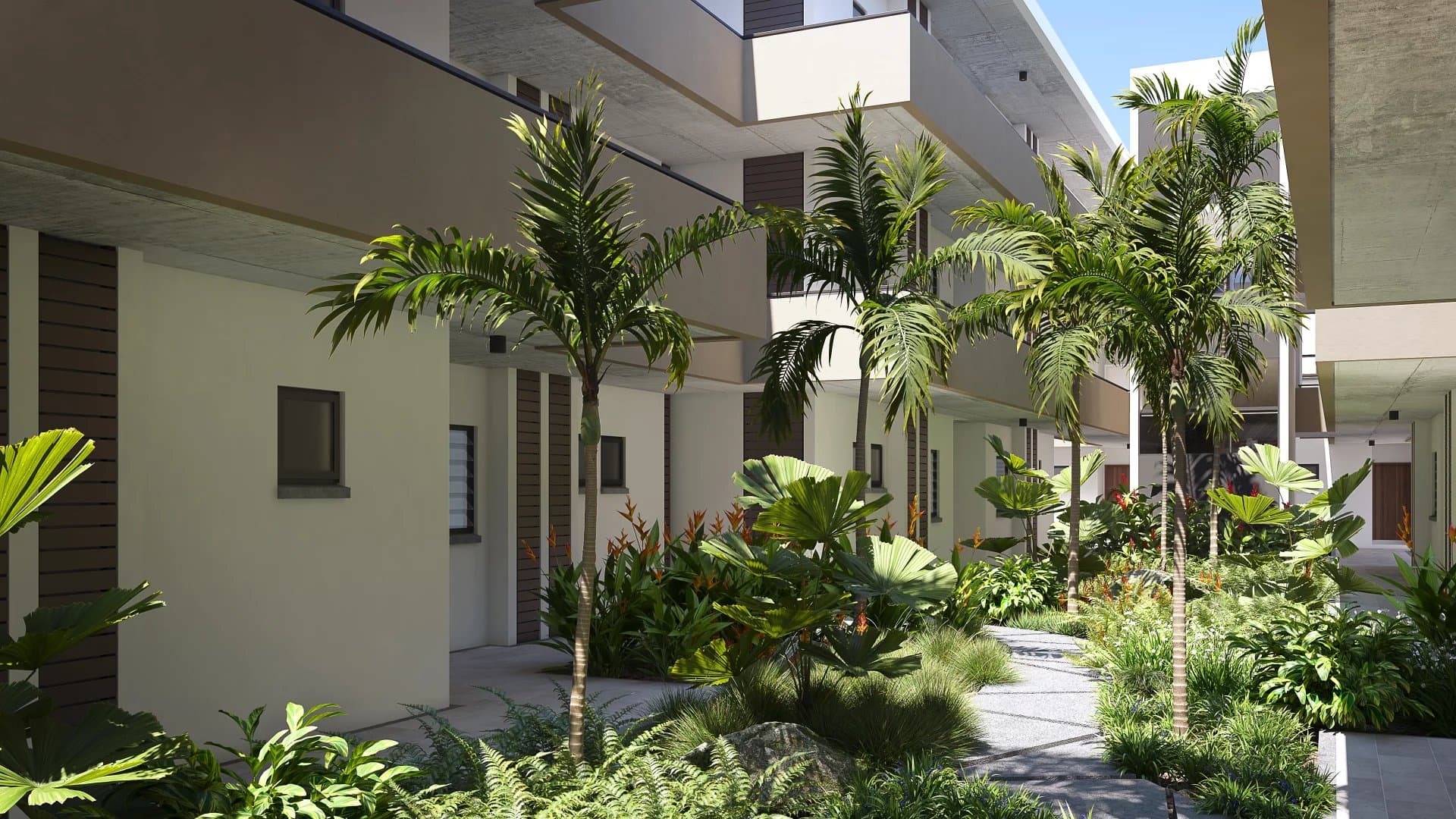 Property image n°4