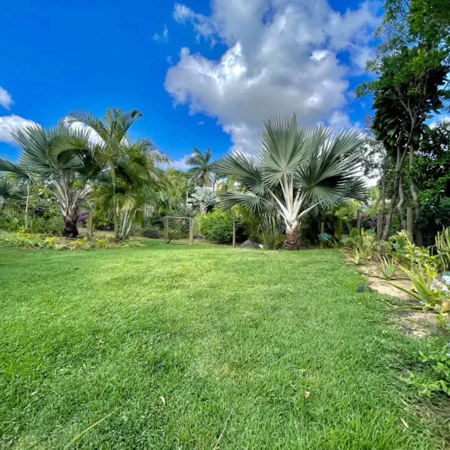 Property image n°14