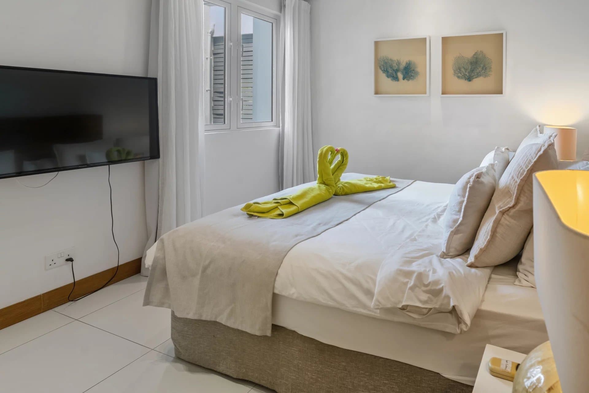 Property image n°12