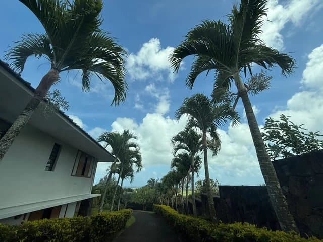 Property image n°12