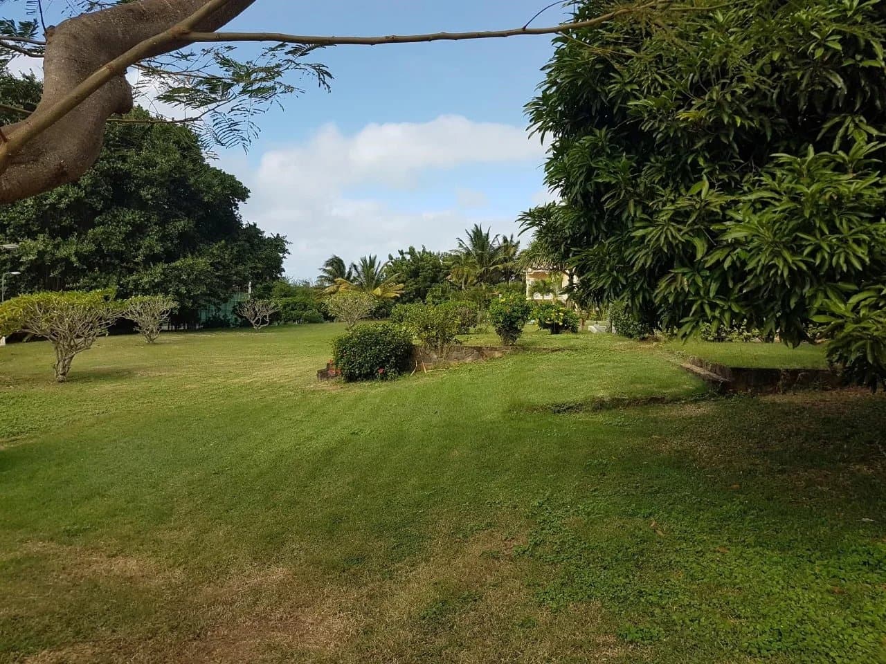 Property image n°11