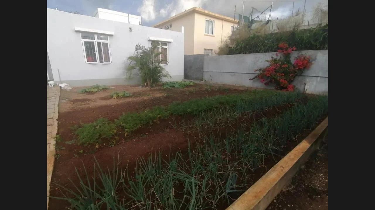 Property image n°1