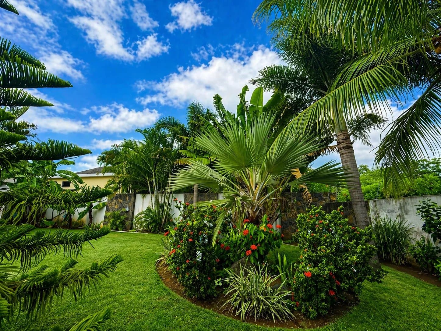 Property image n°16
