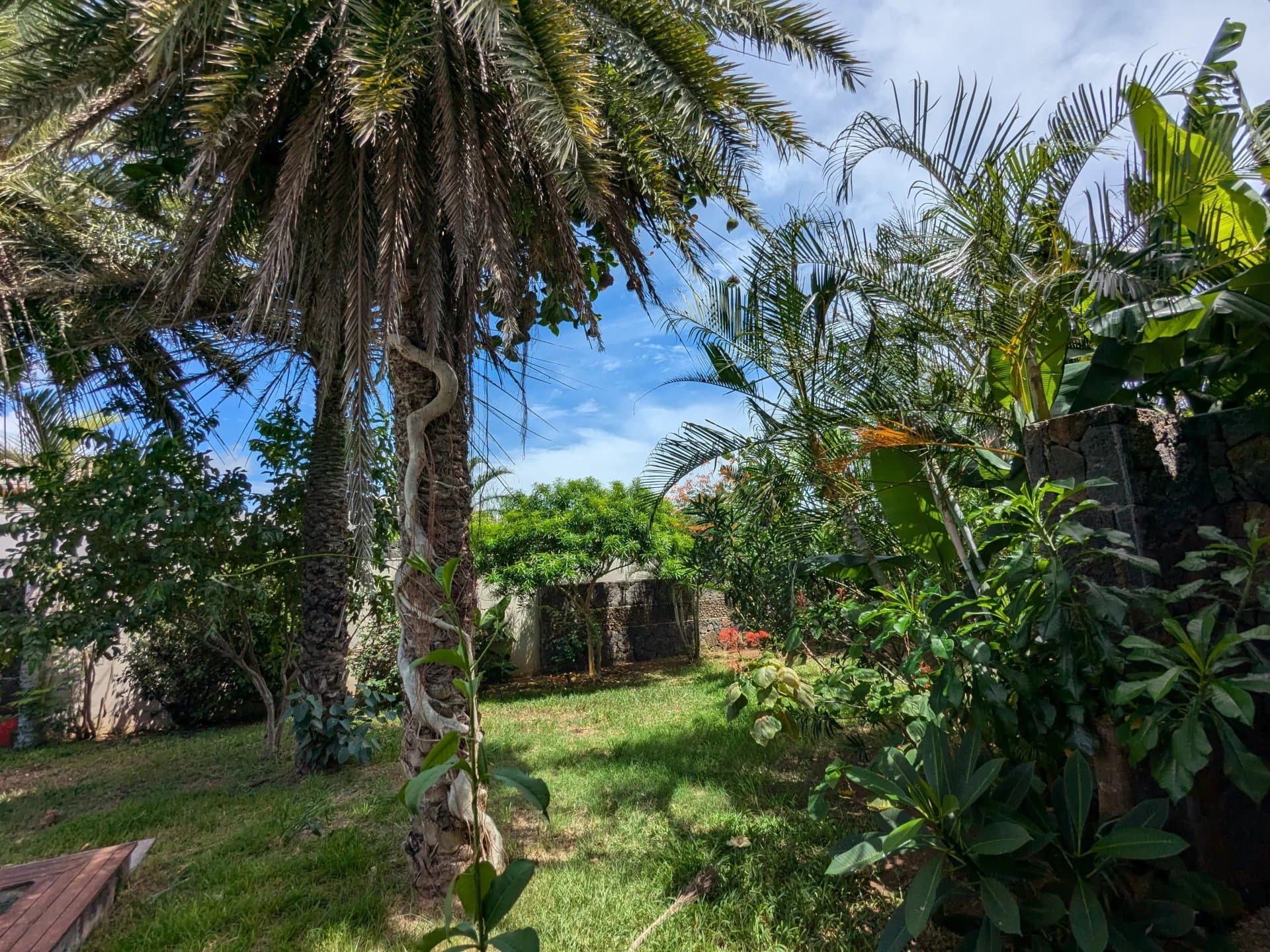 Property image n°9
