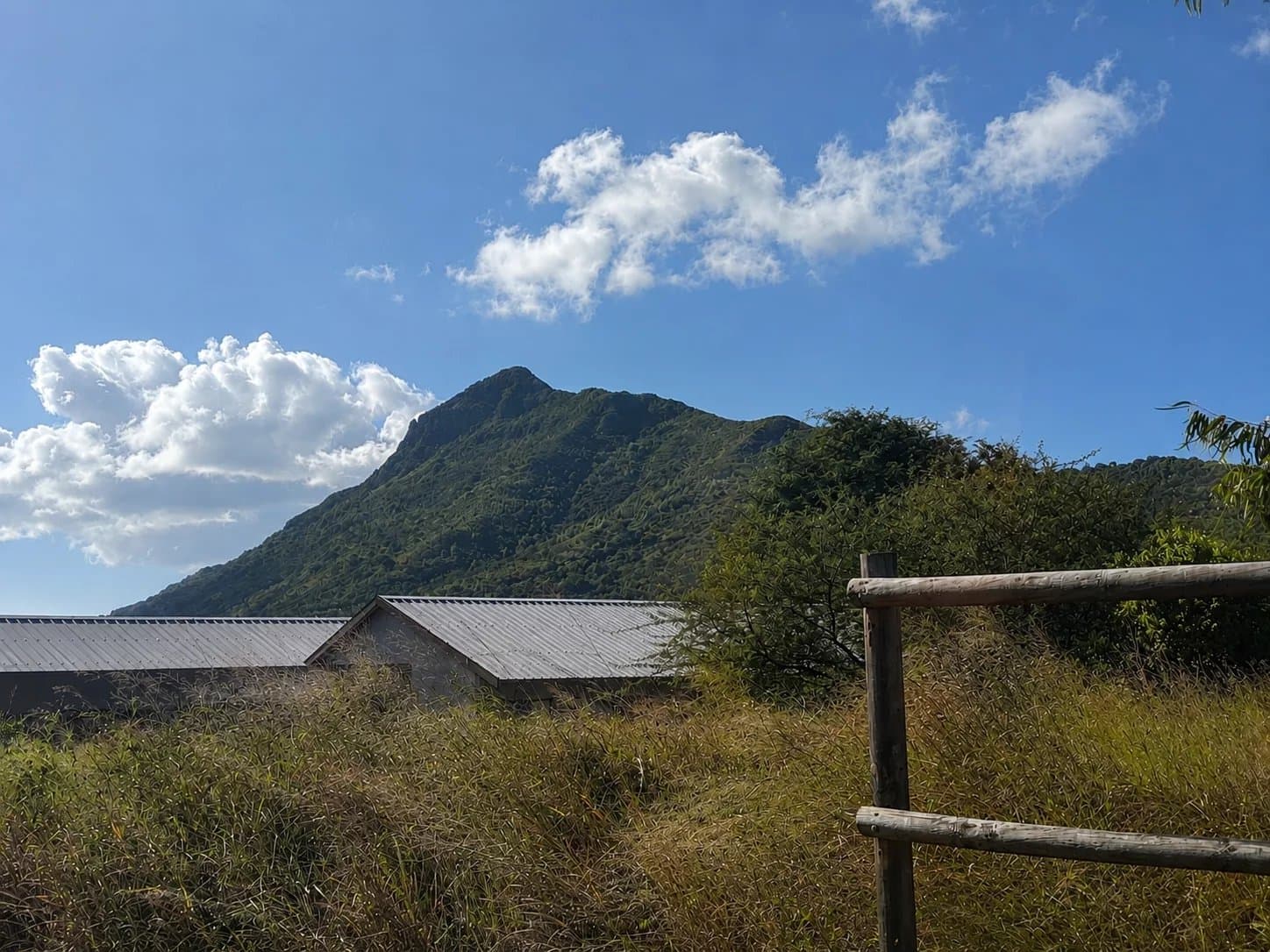 Property image n°10