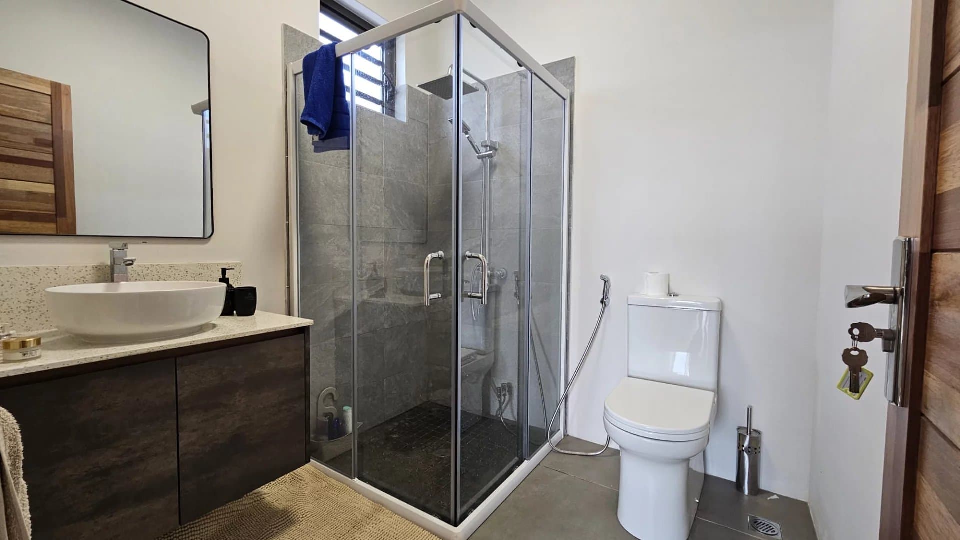 Property image n°6