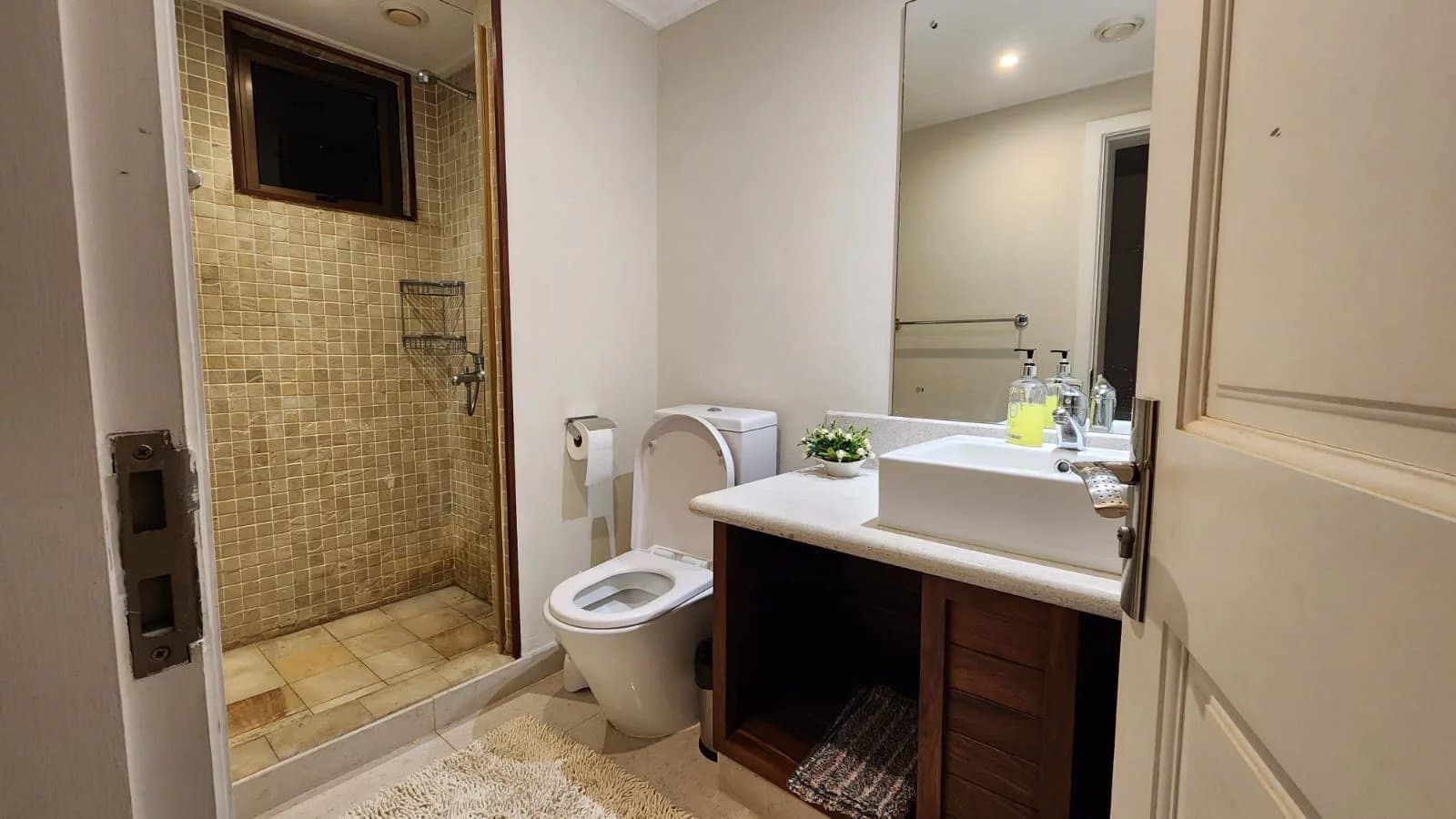 Property image n°14